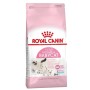 ROYAL CANIN GATO MOTHER Y BABYCAT / Mundo Mágico de La Mascota