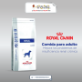 ROYAL CANIN PERRO RENAL