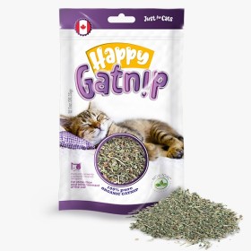 CATNIP HAPPY GATNIP CATNIP HAPPY GATNIP