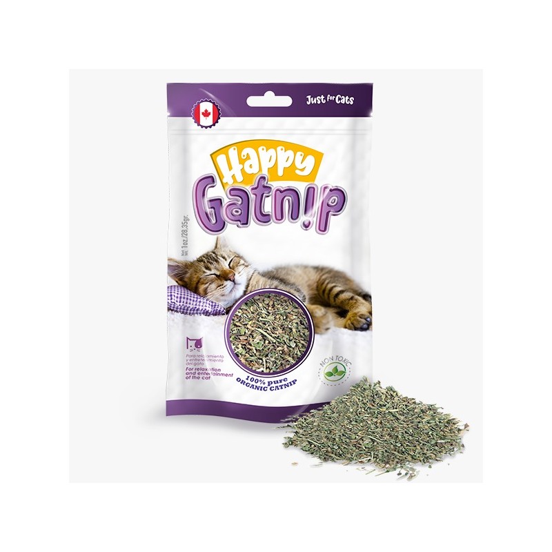 CATNIP HAPPY GATNIP / Mundo Mágico de La Mascota
