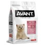 AVANT GATITOS