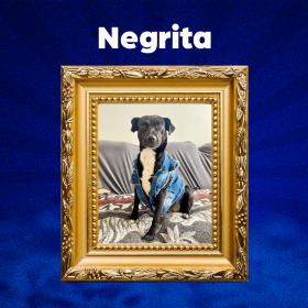 NEGRITA