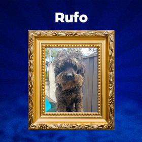 RUFO